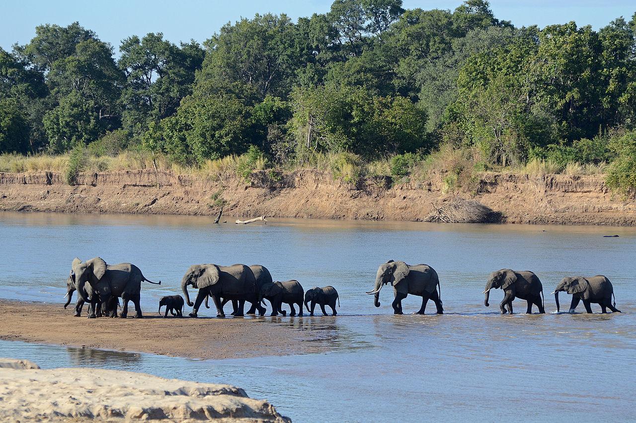 Mfuwe, Zambia